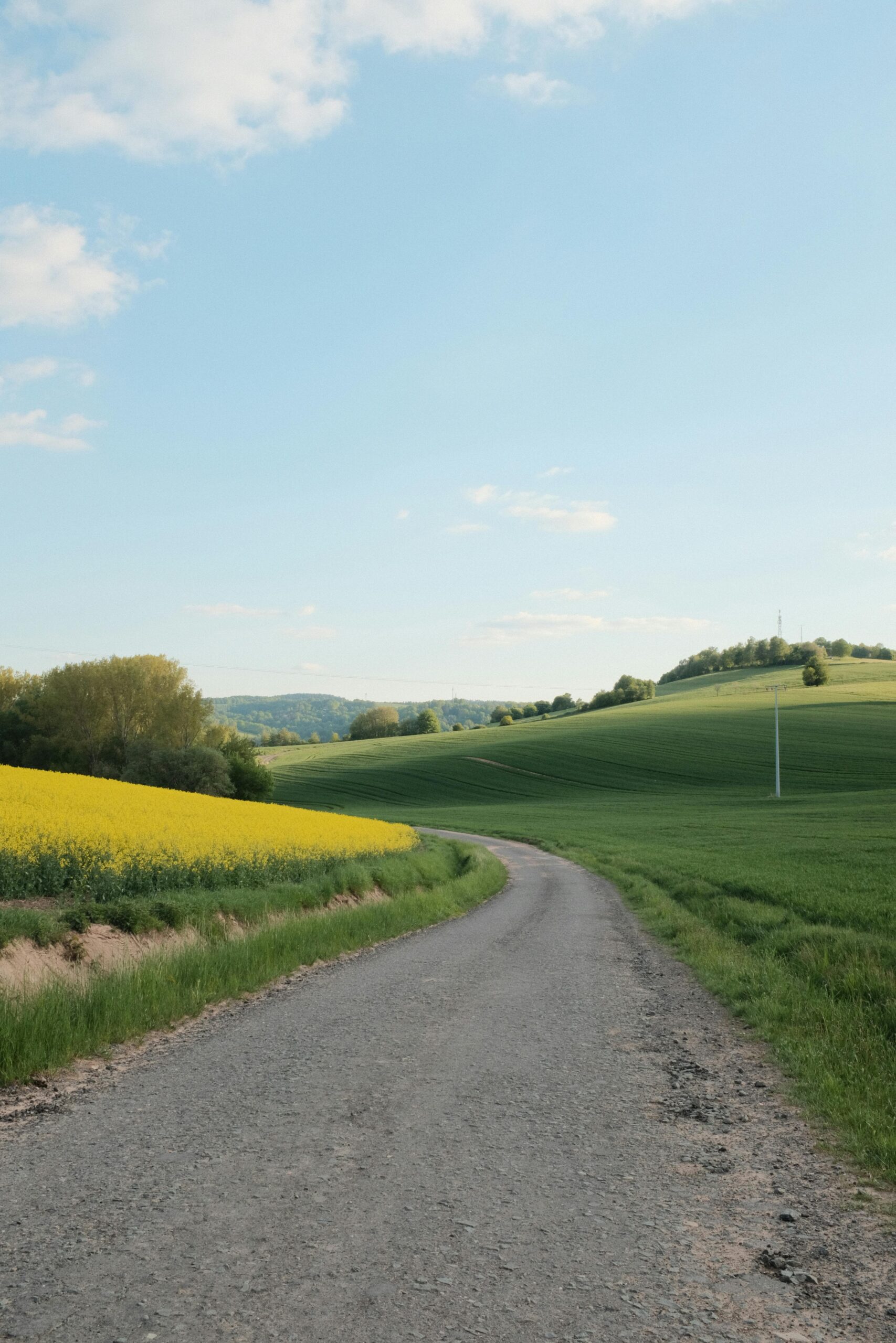 A serene rural landscape with a gravel road winding through lush green fields under a clear blue sky.